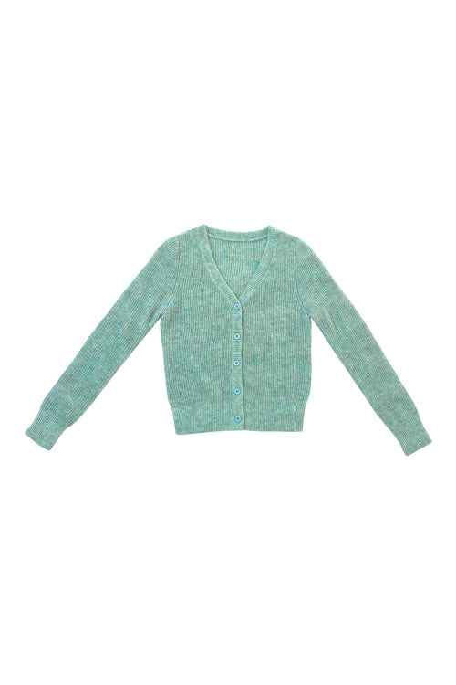 Ali Golden Shrunken Mohair Cardigan in Muted Mint