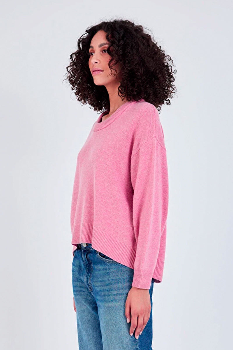 Not Shy Anisla Sweater in Candy