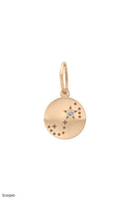 Valley Rose 14K Gold and Diamond Mini Constellation Charms