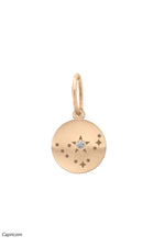 Valley Rose 14K Gold and Diamond Mini Constellation Charms