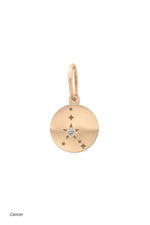 Valley Rose 14K Gold and Diamond Mini Constellation Charms