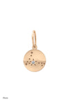 Valley Rose 14K Gold and Diamond Mini Constellation Charms