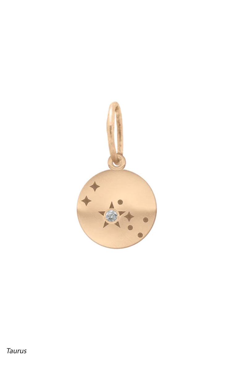 Valley Rose 14K Gold and Diamond Mini Constellation Charms