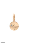 Valley Rose 14K Gold and Diamond Mini Constellation Charms