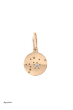 Valley Rose 14K Gold and Diamond Mini Constellation Charms