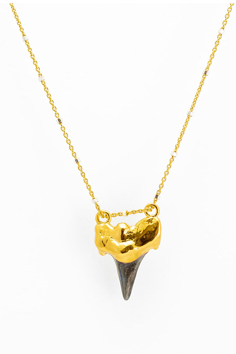Pade Vavra Gold Plated Shark Tooth Necklace