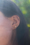 Valley Rose 14K Gold Star Earrings from Phases of the Moon