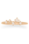 Valley Rose Milky Way 14K Gold Band Diamond Ring